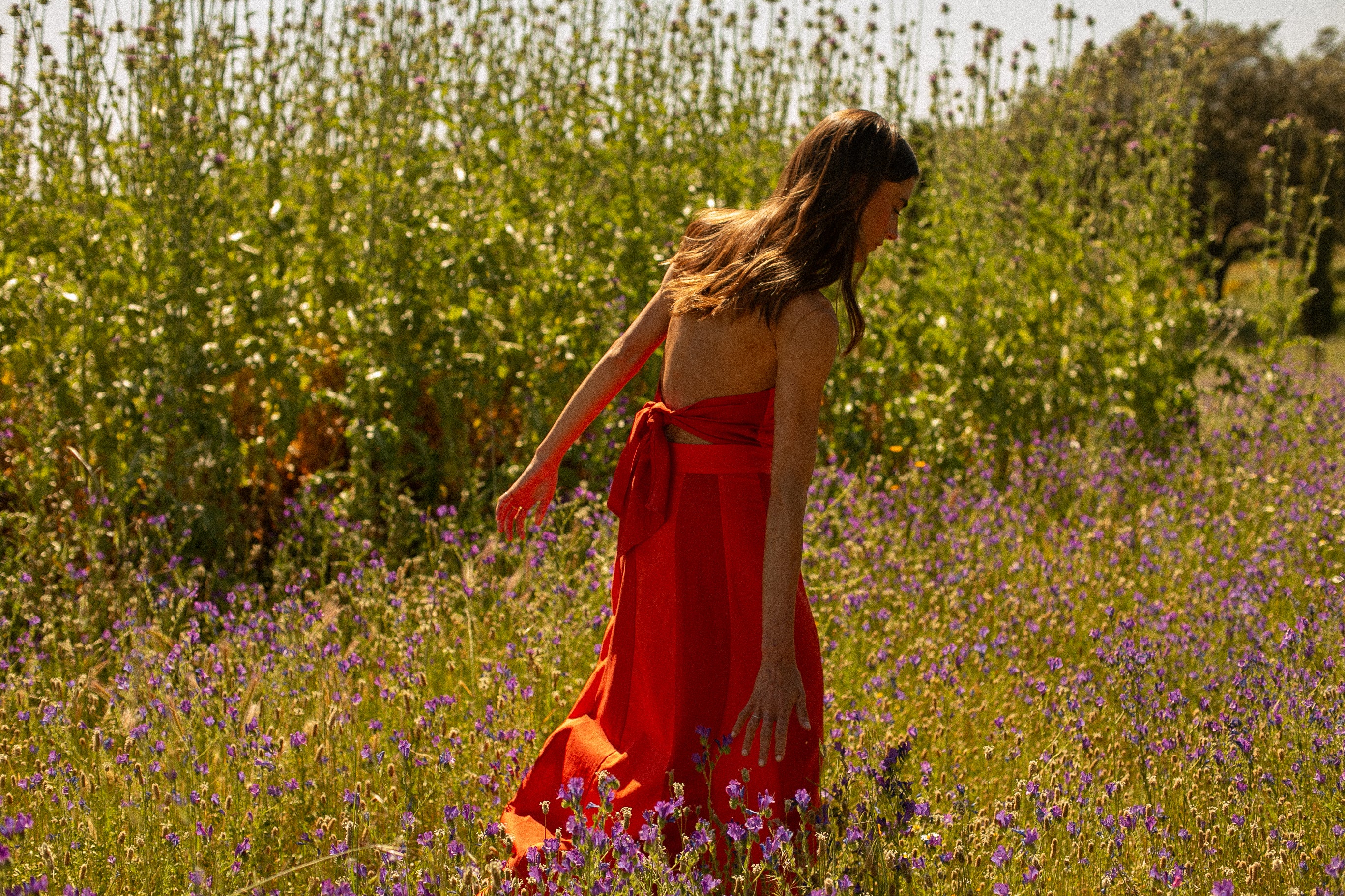 Meadow Serenity